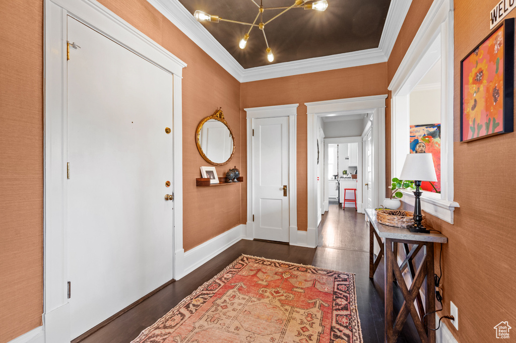 Entryway featuring ornamental molding, dark wood finished floors, and a chandelier