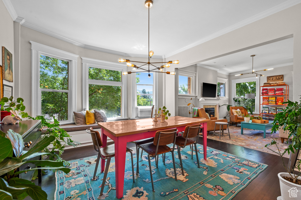 Dining area with a glass covered fireplace, dark wood-type flooring, crown molding, and a chandelier