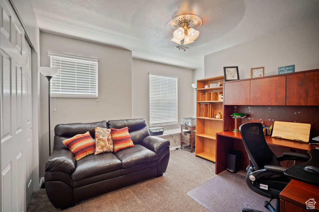Office area with light carpet and ceiling fan
