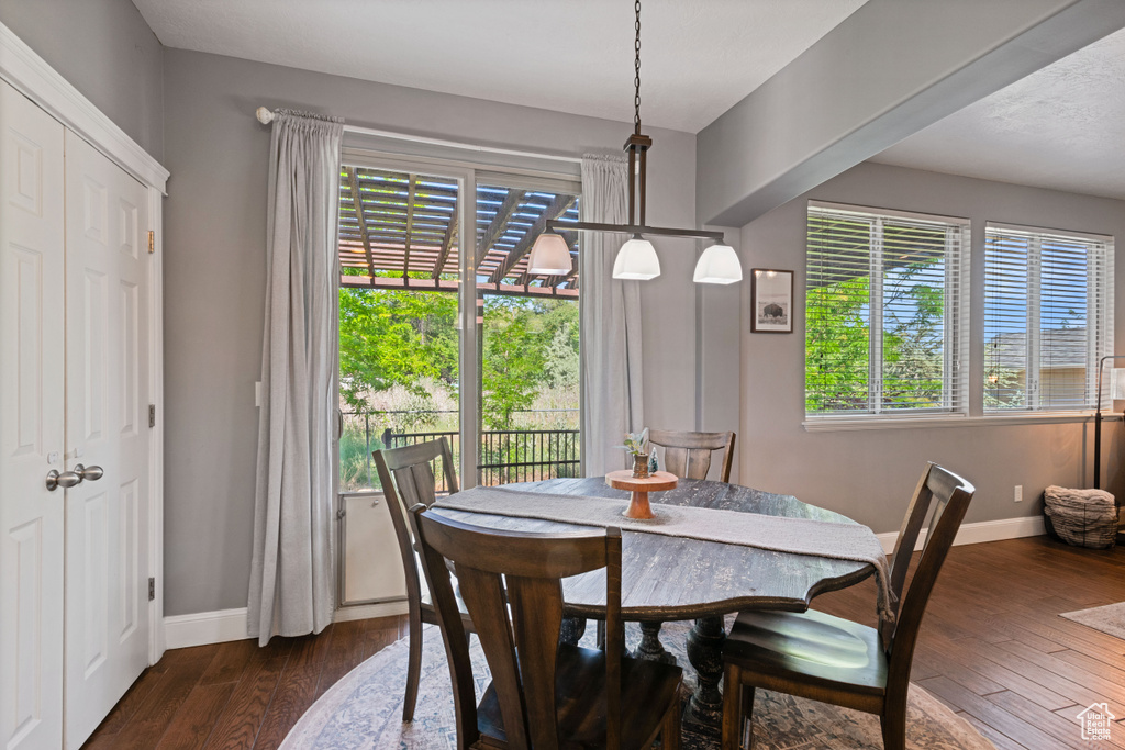 Dining space with baseboards and dark wood-type flooring