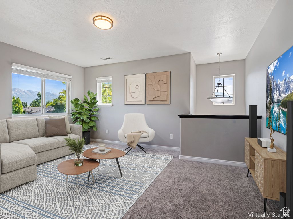 Living area featuring plenty of natural light, a textured ceiling, and carpet flooring