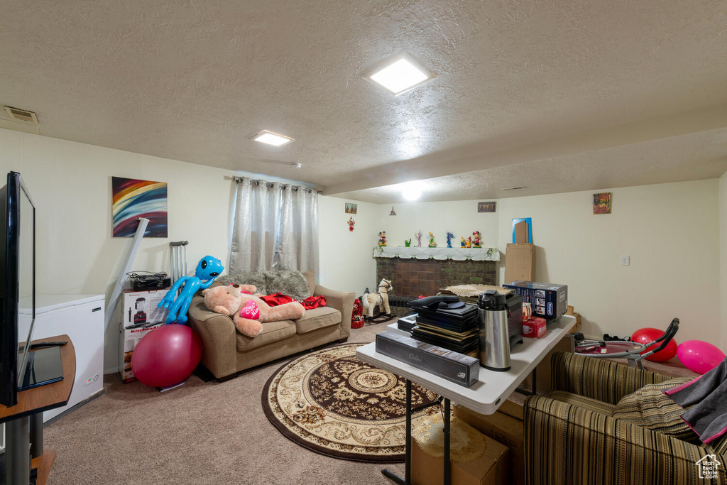 Living area featuring a textured ceiling and carpet flooring