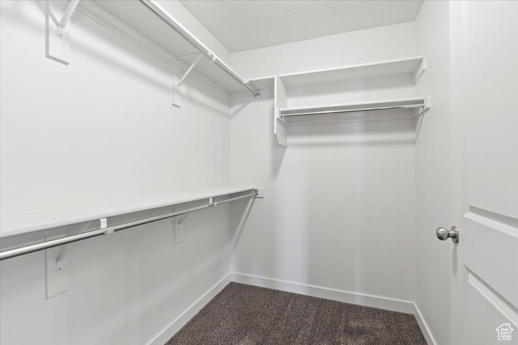 Walk in closet with dark colored carpet