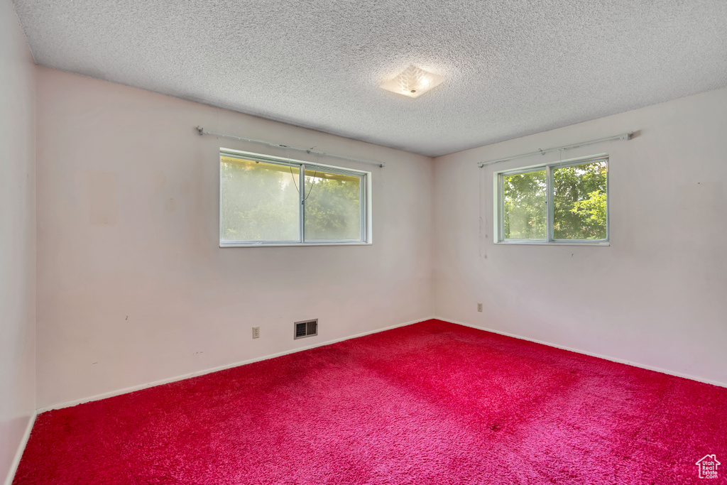 Empty room with carpet floors, a textured ceiling, and healthy amount of natural light