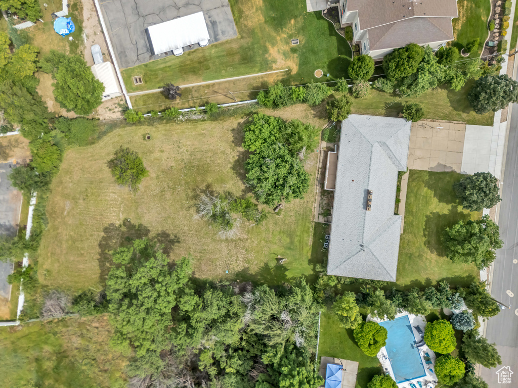 Bird\\\'s eye view