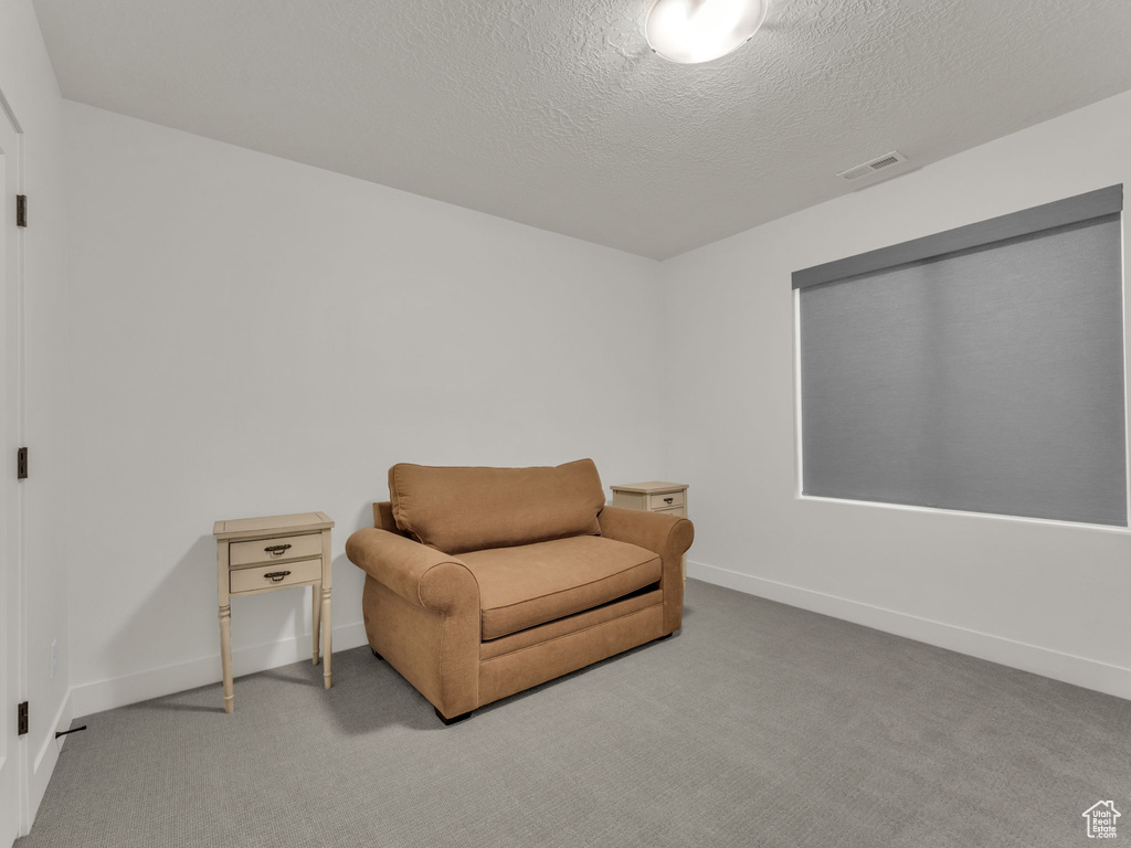 Sitting room featuring carpet floors and a textured ceiling
