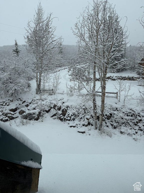 View of yard covered in snow
