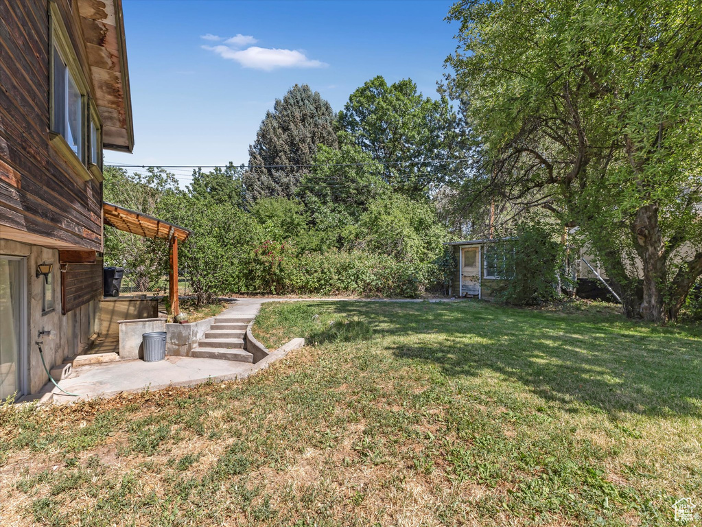 View of grassy yard