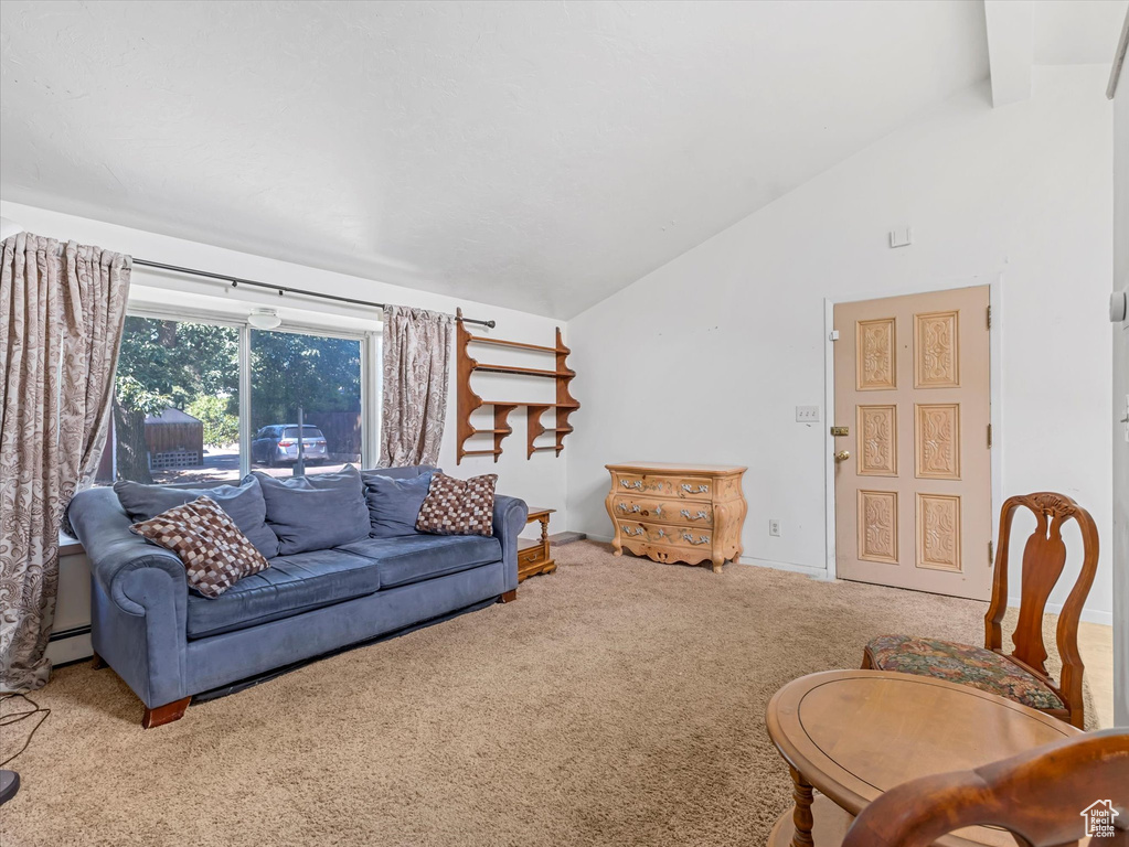 Living room with carpet and a baseboard heating unit