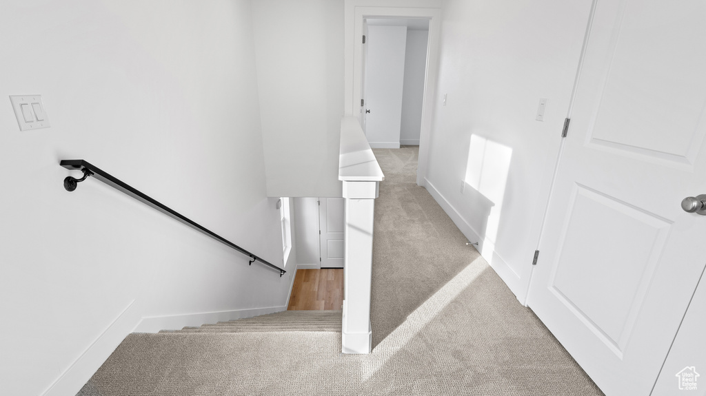Staircase featuring carpet floors and baseboards