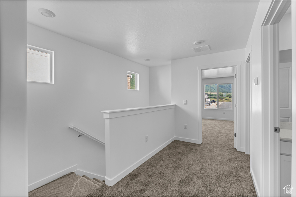 Hall with an upstairs landing and carpet flooring