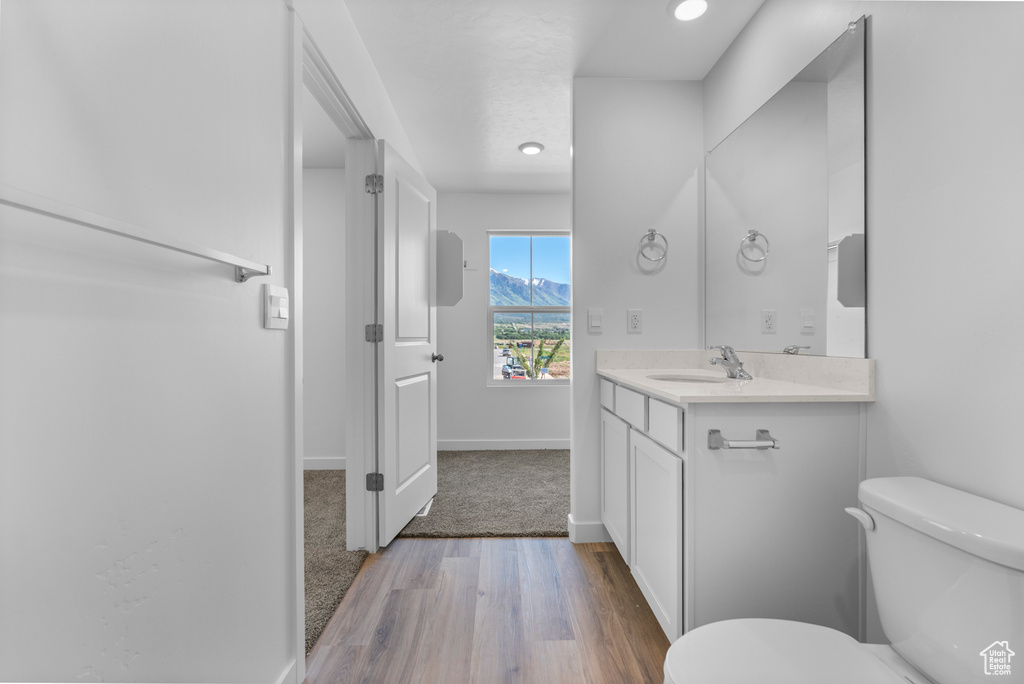 Bathroom with vanity, wood finished floors, and recessed lighting