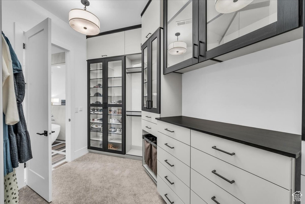 Spacious closet with light carpet