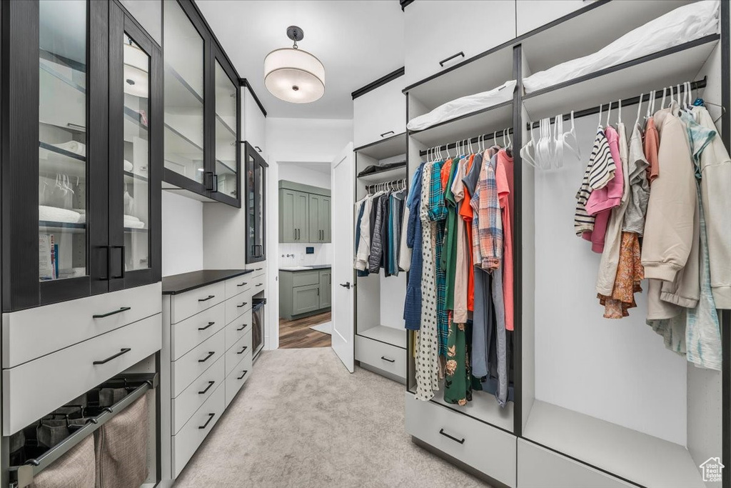 Spacious closet featuring light carpet