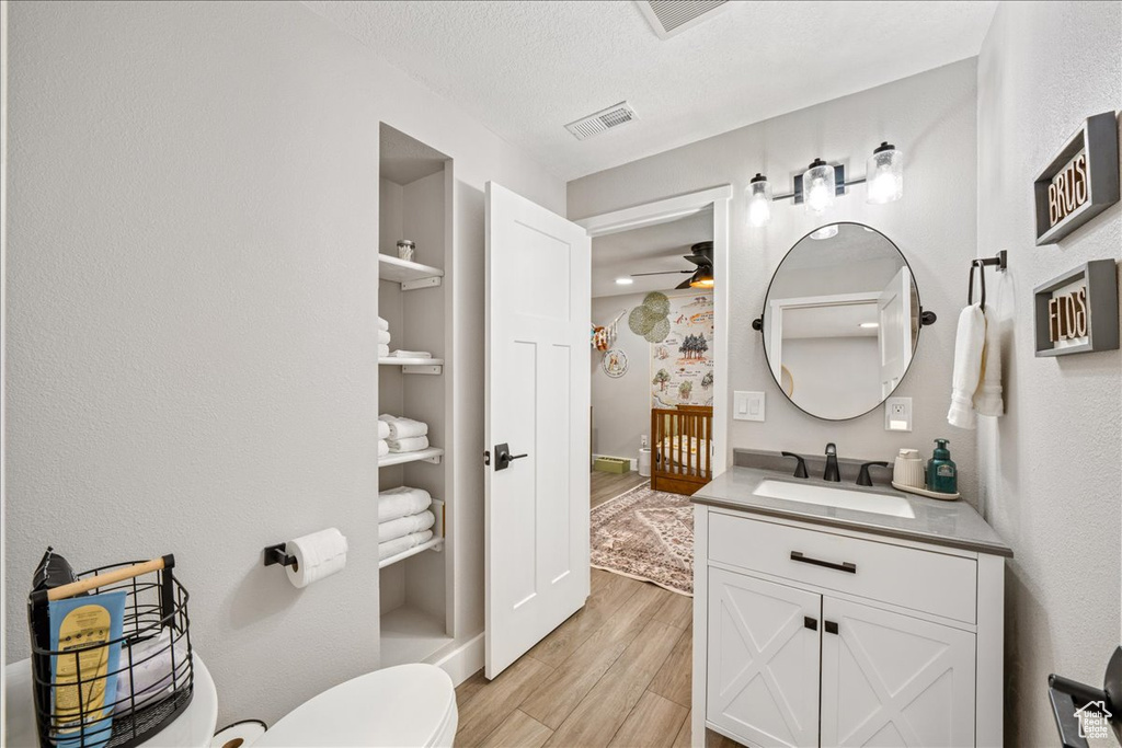 Bathroom featuring wood finished floors, vanity, and a textured ceiling