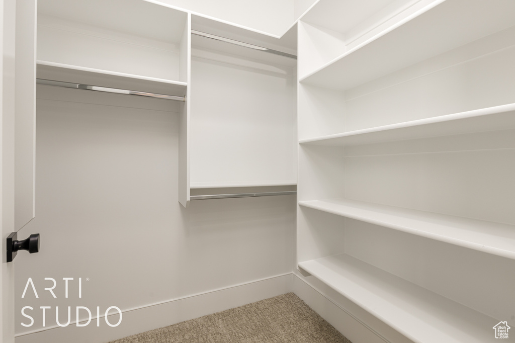 2181 TAWNY RDG St George, UT 84790