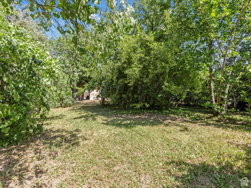 View of green lawn