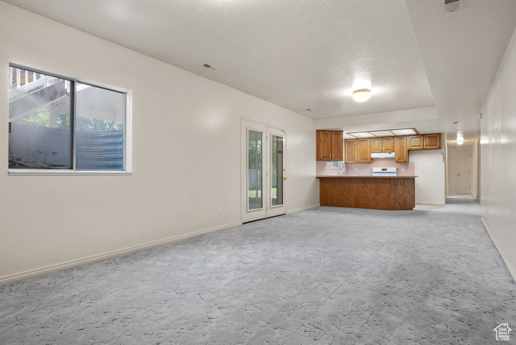 Unfurnished living room with light carpet and healthy amount of natural light
