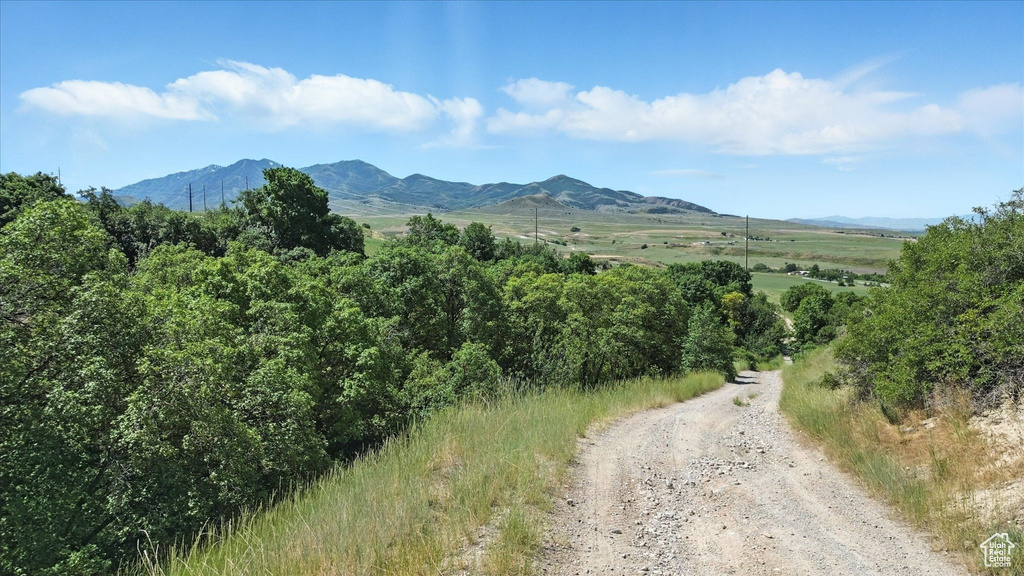 View of mountain background