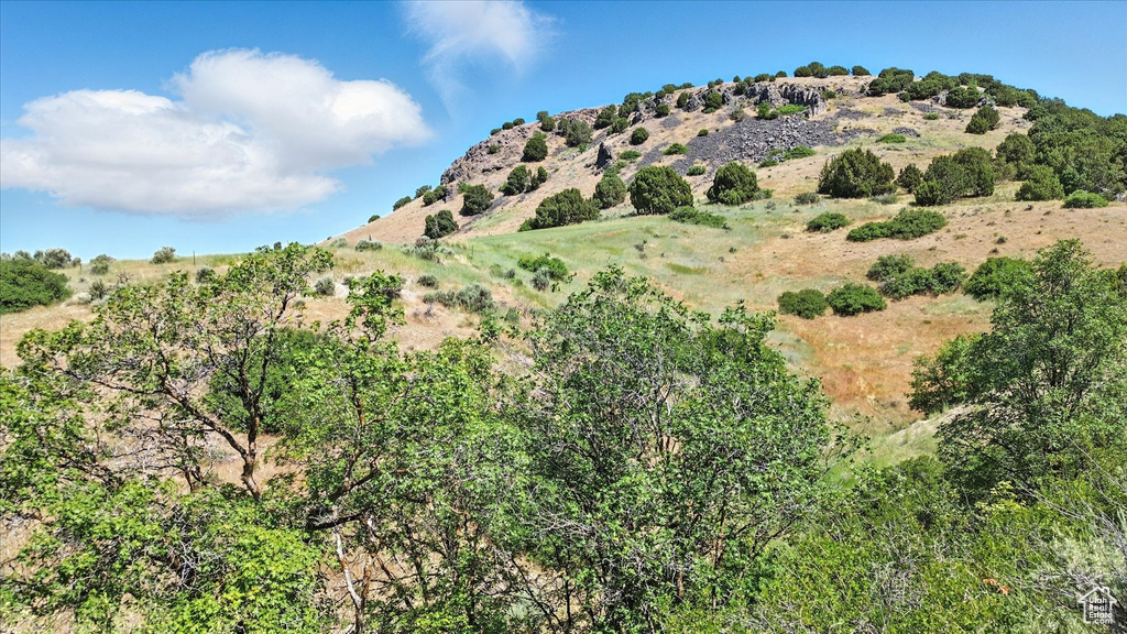 View of mountain background