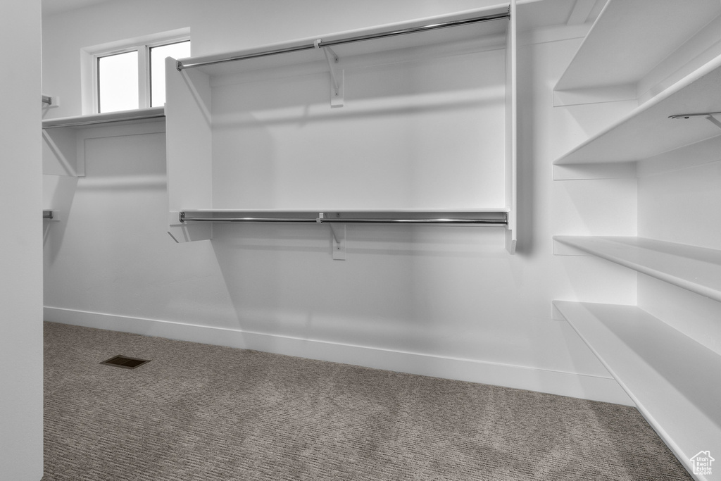 Walk in closet with carpet flooring
