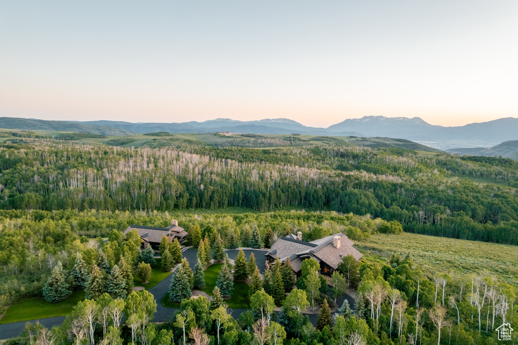 Aerial view at dusk of a forest view and a mountain view