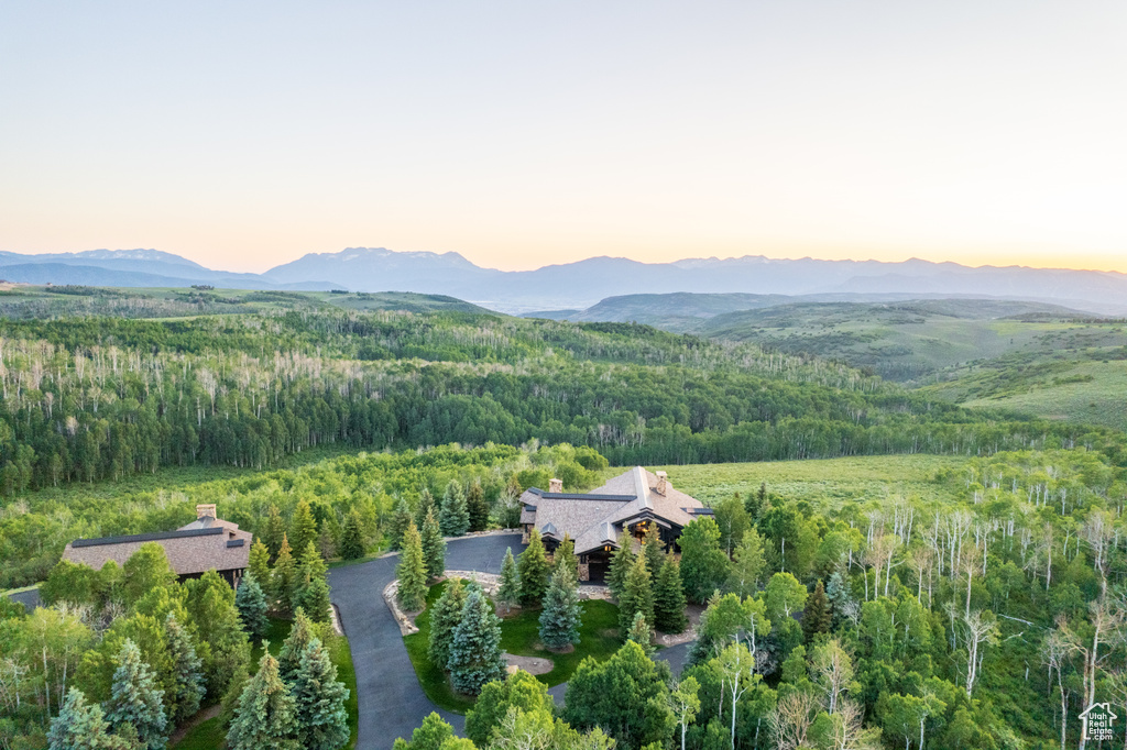 View of mountain background with a heavily wooded area