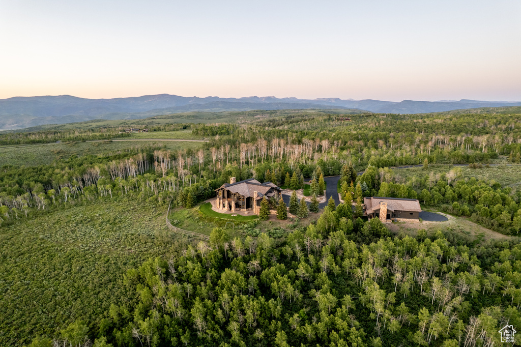 Aerial view at dusk of a forest view and a mountain view