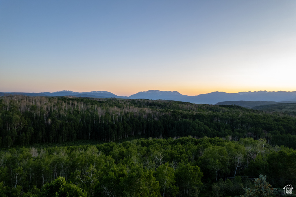 View of mountain background with a forest