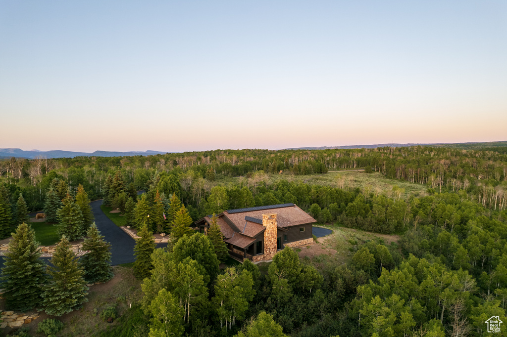 Aerial view at dusk of a forest view