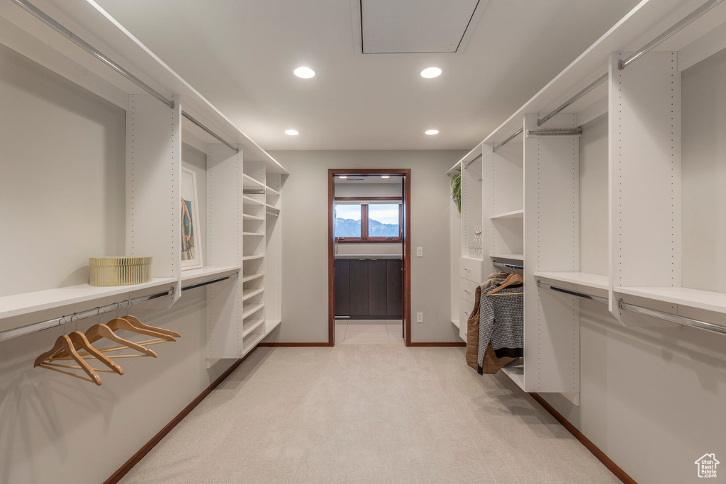 Spacious closet featuring light colored carpet