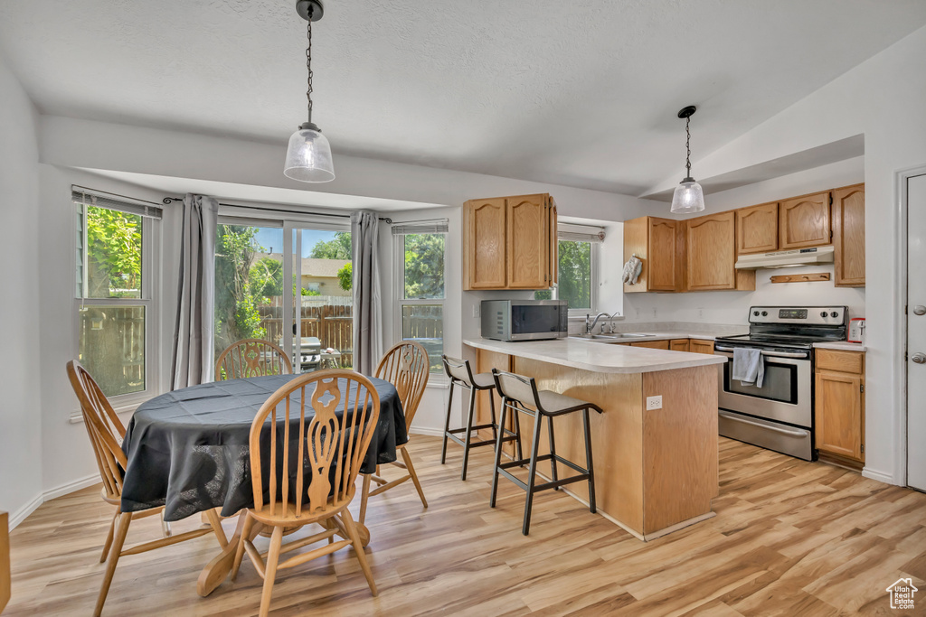 Kitchen featuring stainless steel appliances, under cabinet range hood, a peninsula, light countertops, and light wood finished floors