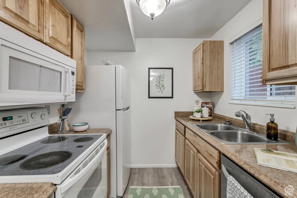 Kitchen featuring white appliances, light wood-type flooring, and light countertops