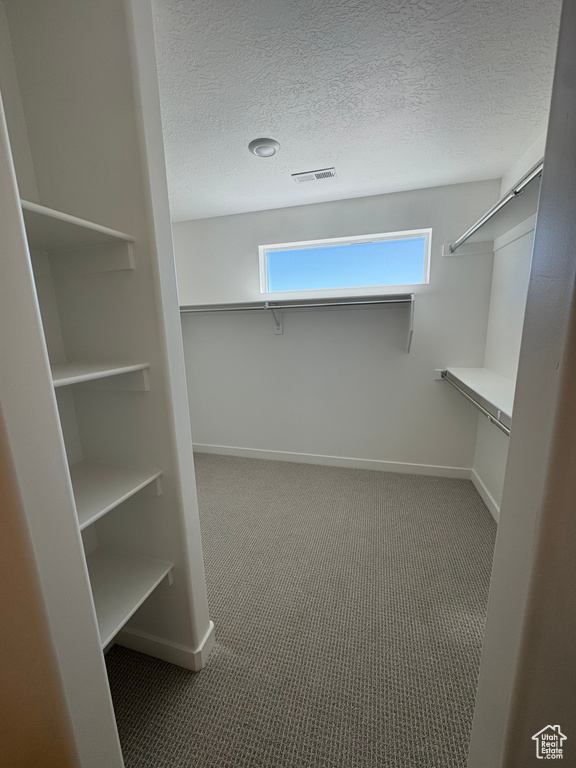 Walk in closet with carpet flooring