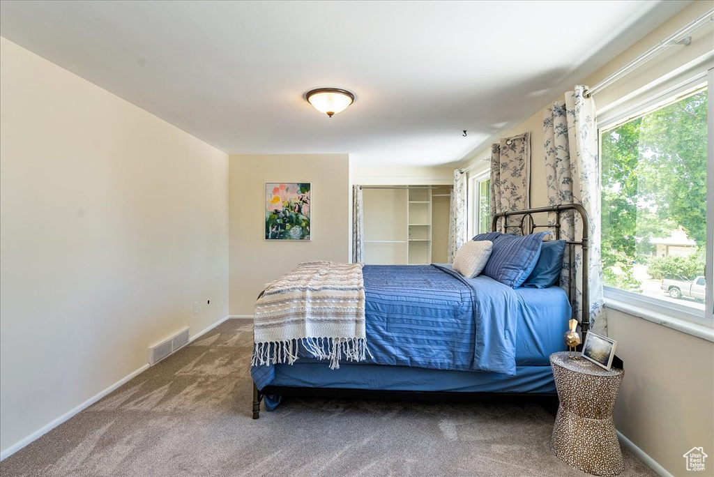 Carpeted bedroom with multiple windows