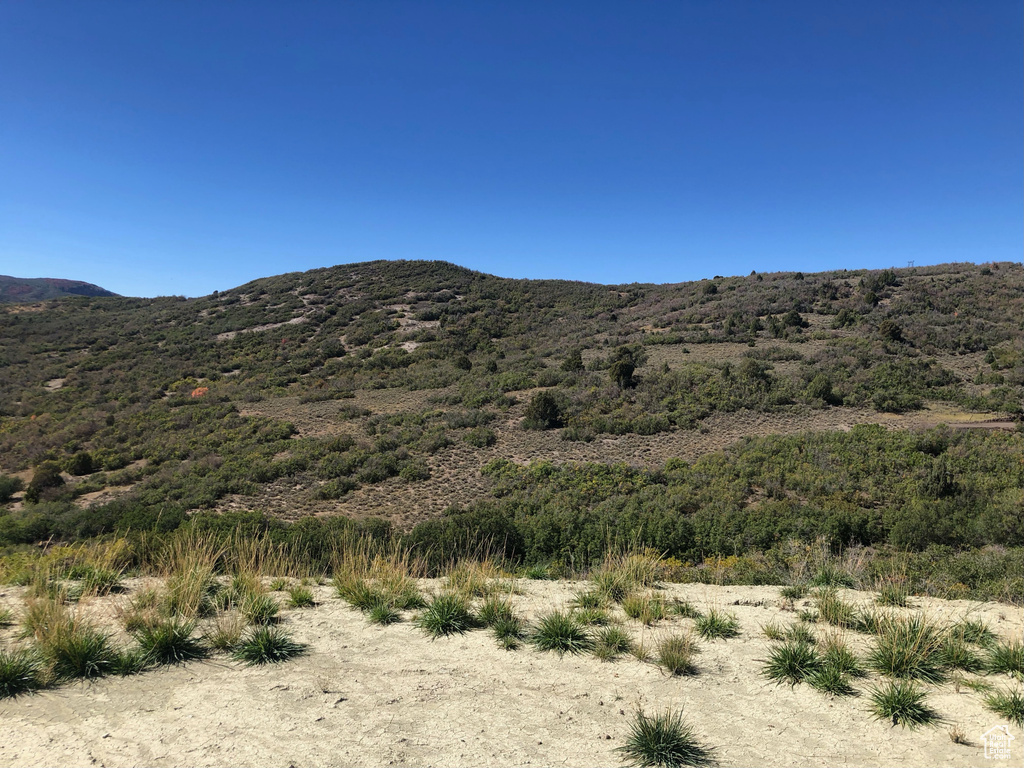 26  NORTH MOUNT BALDY ESTATES ROAD Gunnison, UT 84634