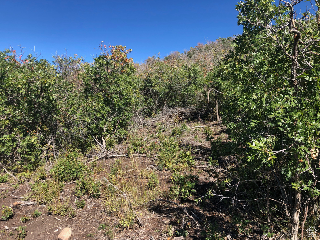 26  NORTH MOUNT BALDY ESTATES ROAD Gunnison, UT 84634
