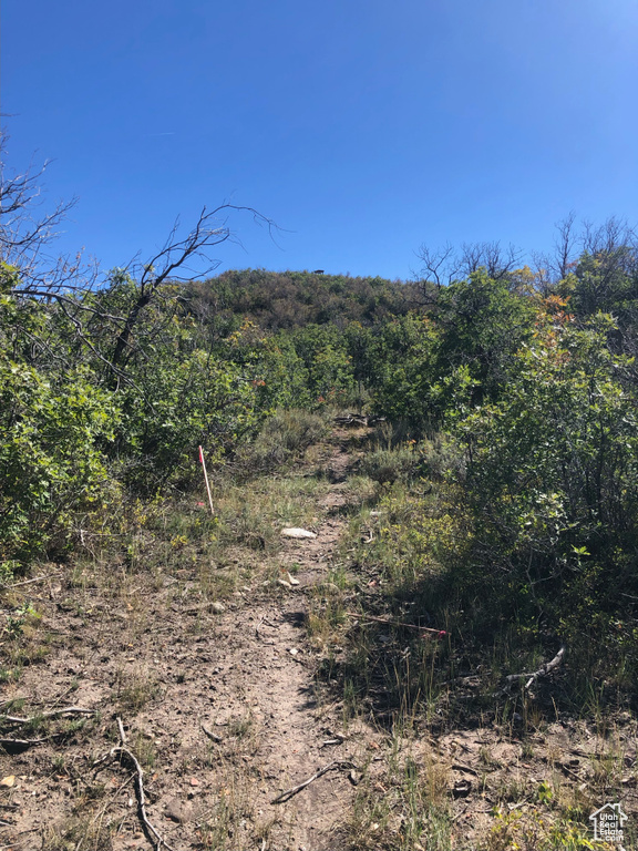 26  NORTH MOUNT BALDY ESTATES ROAD Gunnison, UT 84634