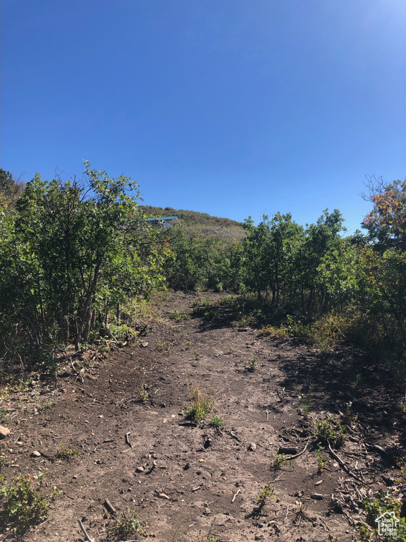 26  NORTH MOUNT BALDY ESTATES ROAD Gunnison, UT 84634