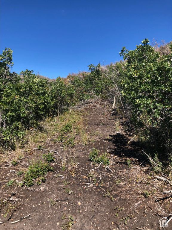 26  NORTH MOUNT BALDY ESTATES ROAD Gunnison, UT 84634