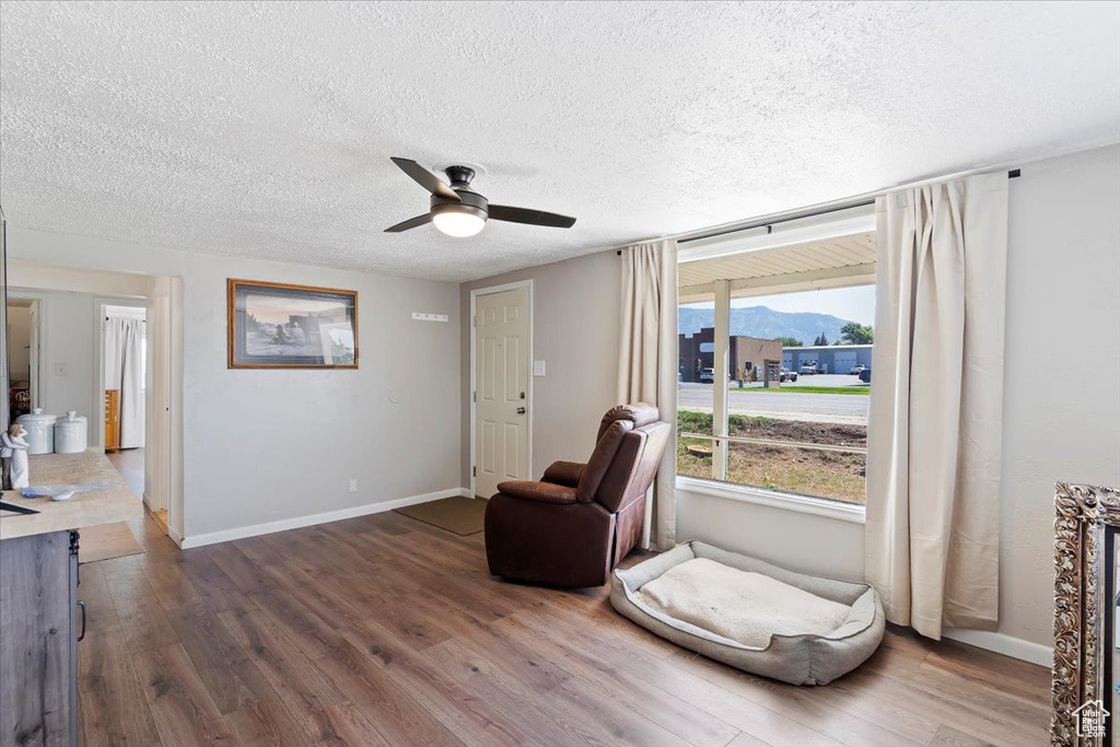 Living area featuring a mountain view, ceiling fan, dark wood finished floors, and a textured ceiling