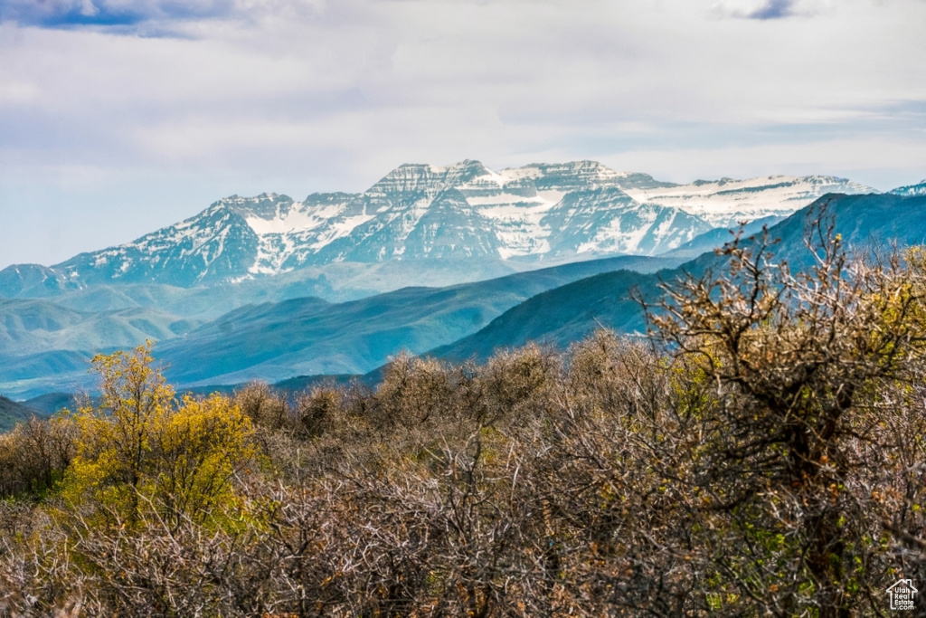 View of mountain backdrop