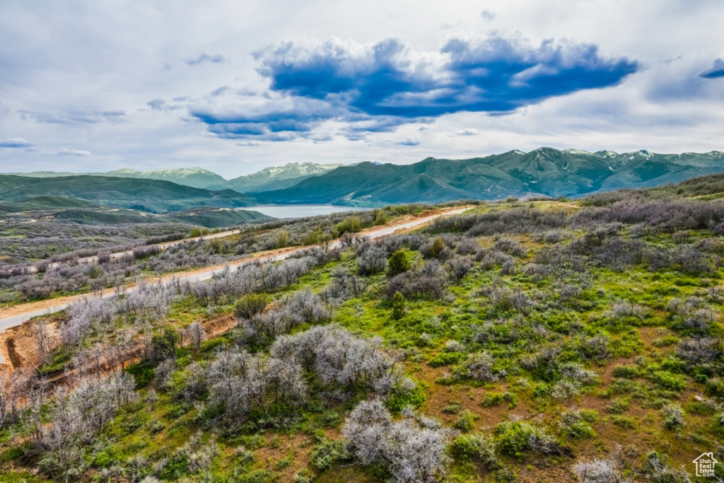 View of mountain background