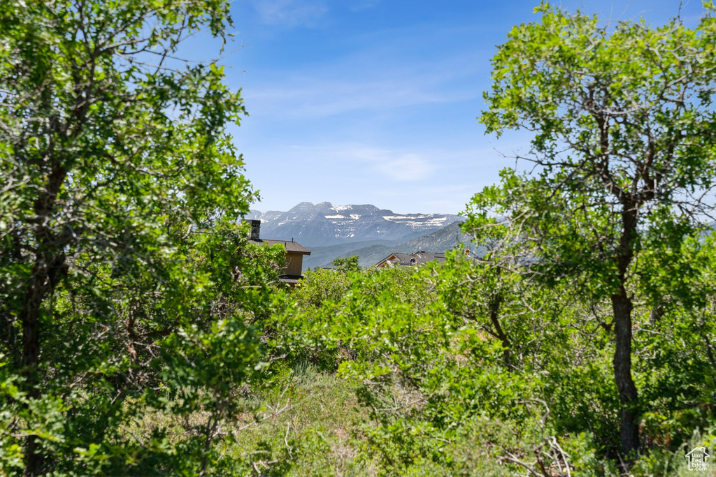 View of mountain backdrop