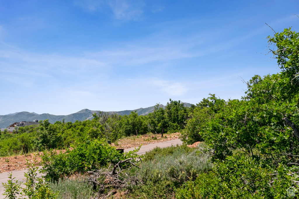 Mountain view