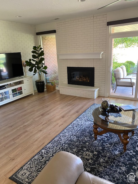 Living room featuring wood finished floors and a fireplace