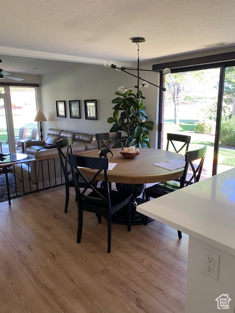 Dining area featuring light wood-type flooring, plenty of natural light, and a textured ceiling