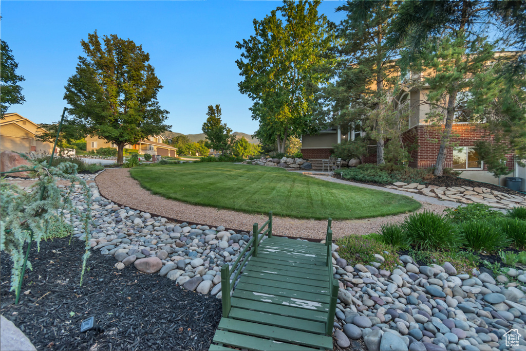 View of grassy yard