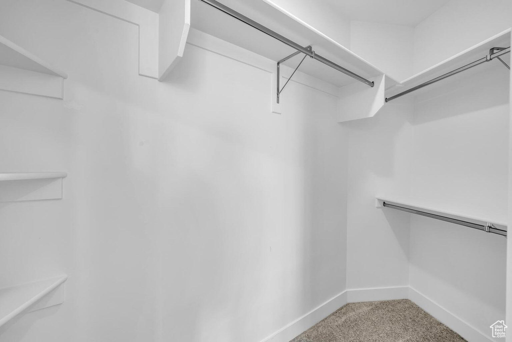Walk in closet with light carpet
