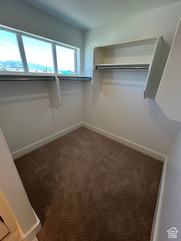 Spacious closet featuring carpet floors